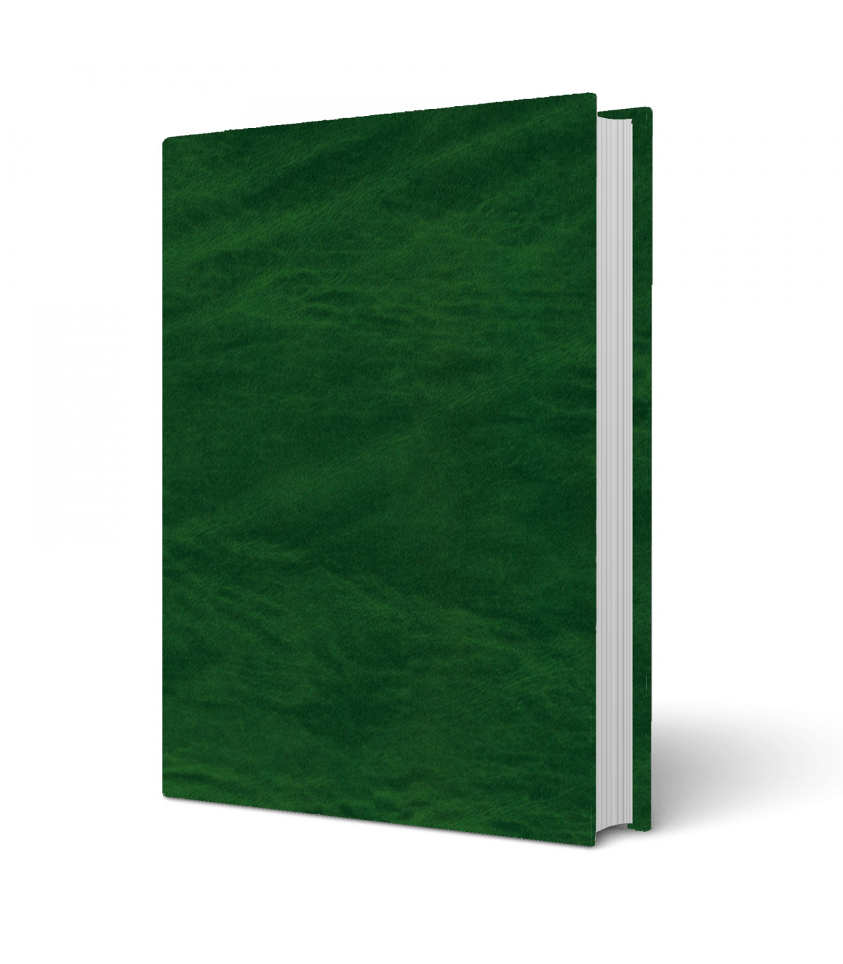 Copertine Tesi Di Laurea Rigide Antique Verde Immagine Srl