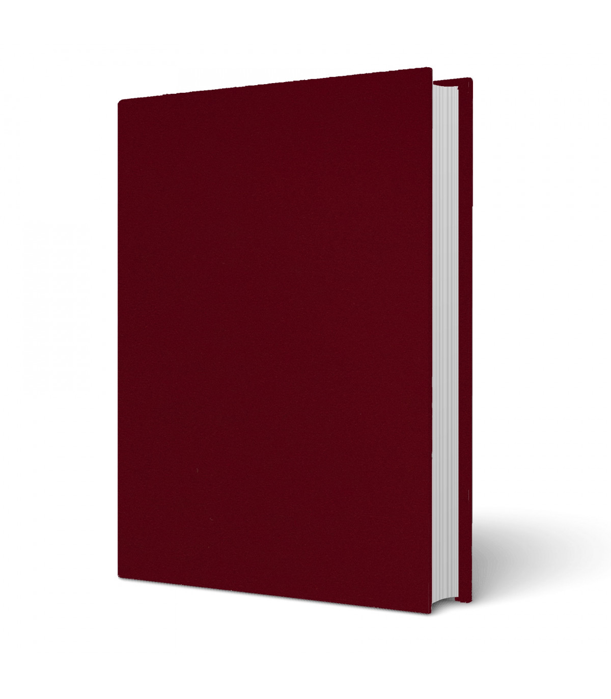 Copertine Tesi Di Laurea Rigide Soft Touch Bordeaux Immagine Srl